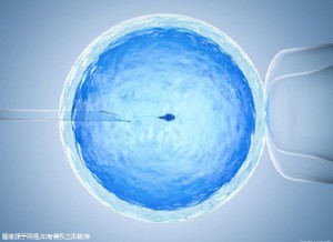 代生供卵公司生殖医学中心